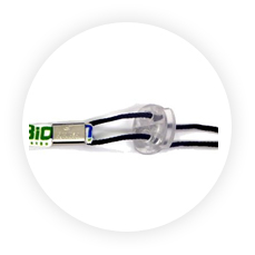 Cordão PET - 1x0 - SQUEEZE